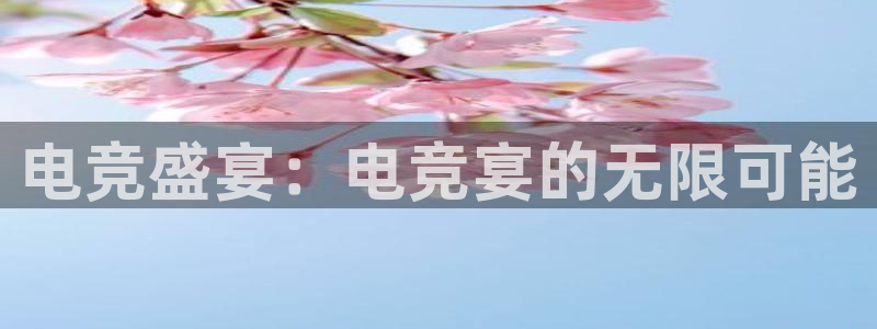 多宝电竞入口：电竞盛宴：电竞宴的无限可能