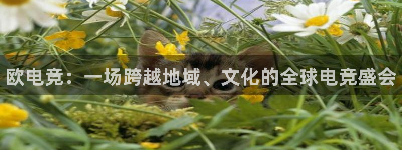 多宝电竞官网：欧电竞：一场跨越地域、文化的全球电竞盛会
