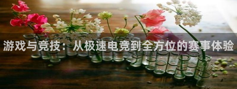 多宝电竞|welcome：游戏与竞技：从极速电竞到全方位的赛事体验
