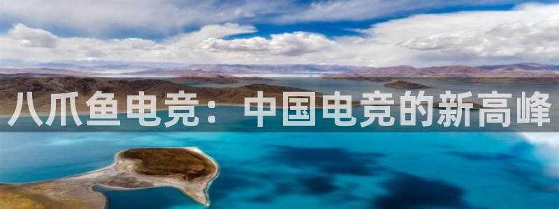 多宝电竞：八爪鱼电竞：中国电竞的新高峰